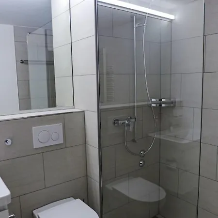 C 033 By Interhome 公寓 迪森蒂斯